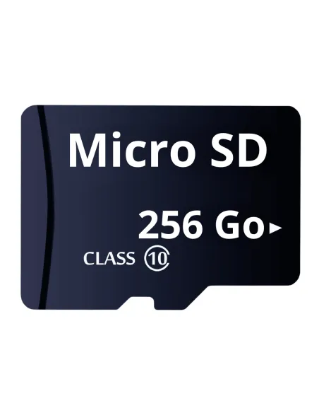 Carte mémoire Micro SD 256 Go - Securvision